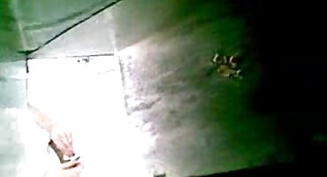 ຜິວຫນັງ bionda ຜິວເນື້ອສີຂາວ screams wildly ຈາກ cock ແຂງໃນກົ້ນແຫນ້ນຂອງນາງ