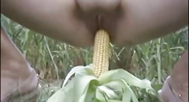 ໃສ່ໃນແບບ doggy ແລະ fucked ແຂງ hentai bitch ມີຂົນສີຂຽວ