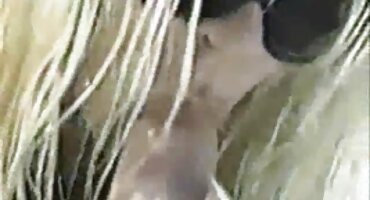 Milf ຕ້ອງການທີ່ຈະມີຫຼາຍດັ່ງນັ້ນນາງ pounced ສຸດ cock ໃຫຍ່ຂອງຜູ້ຊາຍສີດໍາ