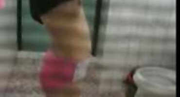 ການຮ່ວມເພດສັດວິດີໂອການລວບລວມຮູບພາບທີ່ເຮັດໃຫ້ທ່ານມີ